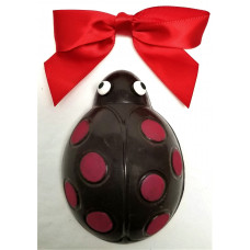 Ladybug 3-D